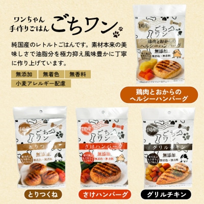 わんちゃん手づくりごはん「ごちワン」レトルト4種セット|15_pco-02e101