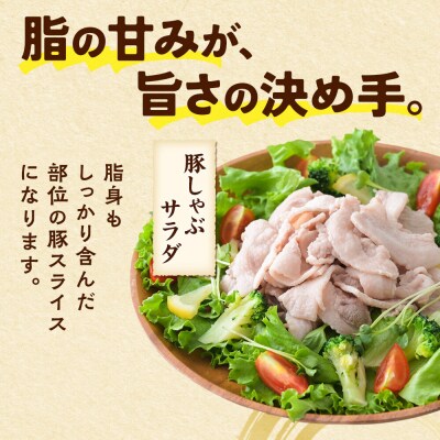 【2026年11月上旬発送】豚頭肉 スライス 4kg 500g×8袋|15_mtc-01e801