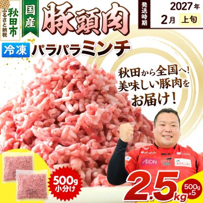 【2027年2月上旬発送】豚頭肉 ミンチ 2.5kg 500g×5袋|15_mtc-02k501