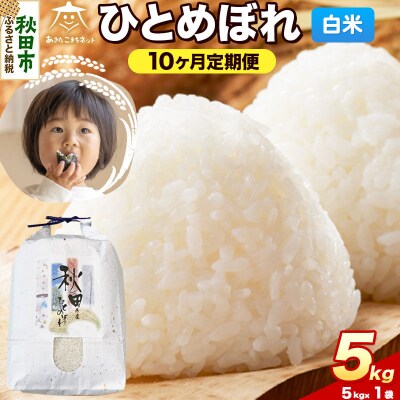 《新米受付 定期便10ヶ月》ひとめぼれ 5kg 白米|15_akn-gg0510hs