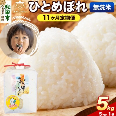 《新米受付 定期便11ヶ月》ひとめぼれ 5kg 無洗米|15_akn-gg0511ms