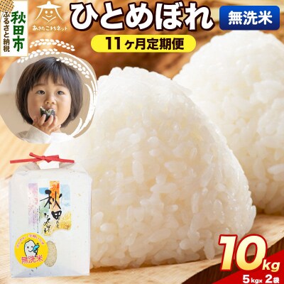 《新米受付 定期便11ヶ月》ひとめぼれ 10kg 無洗米|15_akn-gg1011ms