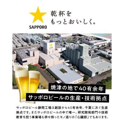 【定期便4回】エビスプレミアムエール500ml缶×1箱(24本)(T0093-2204)