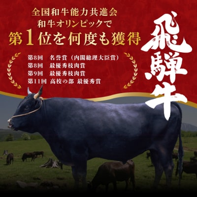 飛騨牛 切り落とし 250g A5等級 A4等級 肉のひぐち