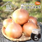 五斗長たまねぎ 5kg 淡路島産玉ねぎ　ag01606