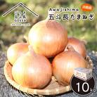 五斗長たまねぎ 10kg 淡路島産玉ねぎ　ag01607