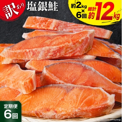 定期便 《6ヶ月連続お届け》 訳あり 銀鮭 切身 約2kg×6回 計12kg 20564480