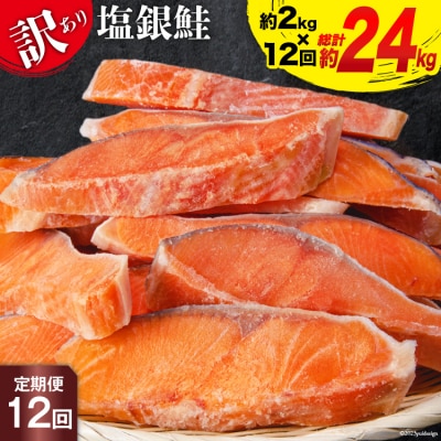定期便 《12ヶ月連続お届け》 訳あり 銀鮭 切身 約2kg×12 計24kg 20564464