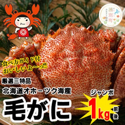 北海道オホーツク海産 三特毛ガニ ジャンボサイズ 1kg前後×1尾