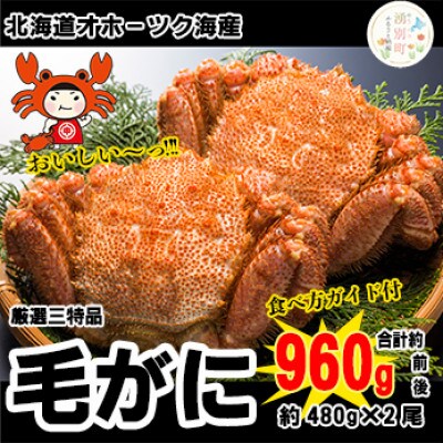 北海道オホーツク海産 三特毛ガニ 480g×2尾