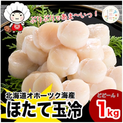 北海道オホーツク海産 ホタテ玉冷 小サイズ 1kg