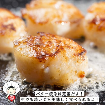 北海道オホーツク海産 ホタテ玉冷 小サイズ 1kg
