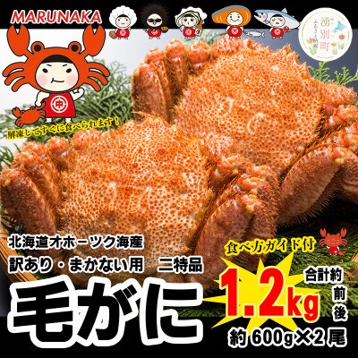 北海道オホーツク産 訳あり・まかない用・二特品 毛ガニ 約600g×2尾