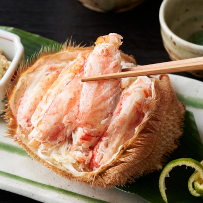 北海道オホーツク産 訳あり・まかない用・二特品 毛ガニ 約600g×2尾