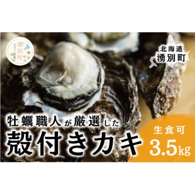 牡蠣職人が厳選した殻付き牡蠣 3.5kg(生食可)カキ かき サロマ湖 北海道[5930-0334]