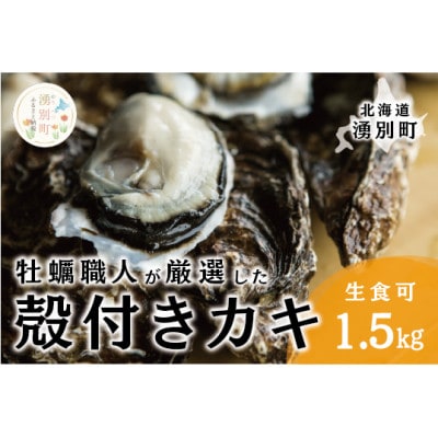 牡蠣職人が厳選した殻付きカキ 1.5kg(生食可)カキ サロマ湖 北海道 [5930-0336]