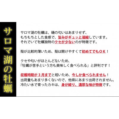 牡蠣職人が厳選した殻付きカキ 1.5kg(生食可)カキ サロマ湖 北海道 [5930-0336]