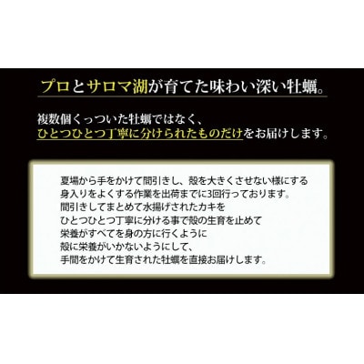 牡蠣職人が厳選した殻付きカキ 1.5kg(生食可)カキ サロマ湖 北海道 [5930-0336]