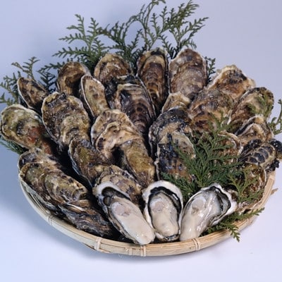 湧別サロマ湖産龍宮牡蠣3kg(2年カキ)