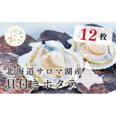 北海道サロマ湖産　貝付きホタテ12枚
