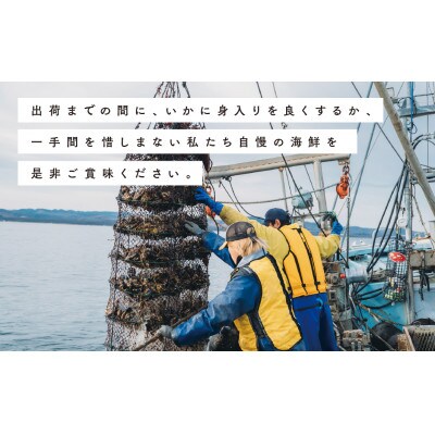 北海道サロマ湖産　貝付きホタテ18枚