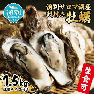 先行予約　北海道オホーツク湧別サロマ湖産殻付き牡蠣　生食可　1.5kg