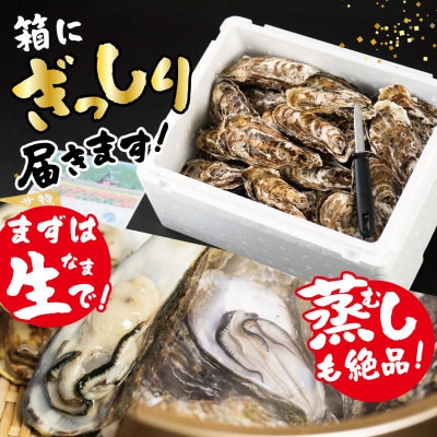 先行予約　北海道オホーツク湧別サロマ湖産殻付き牡蠣　生食可　3.5kg
