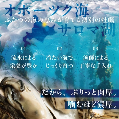 先行予約　北海道オホーツク湧別サロマ湖産殻付き牡蠣　生食可　5kg