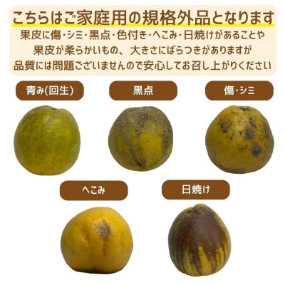 【訳あり】《中身で勝負》河内晩柑(愛南ゴールド)7.5kg