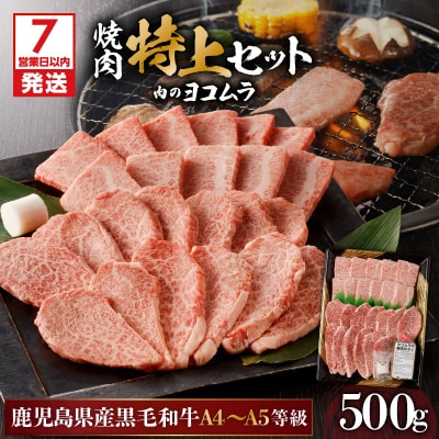 【7営業日以内に発送】鹿児島黒毛和牛A4～A5 焼肉特上セット カルビ/ロース　K189-007