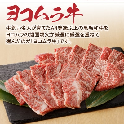 【7営業日以内に発送】鹿児島黒毛和牛A4～A5 焼肉上セット(上カルビ/上ロース)　K189-008