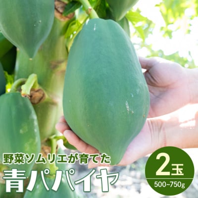 パパイヤ 2玉 青パパイヤ 野菜ソムリエが育てた mj-0017