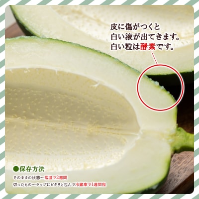 パパイヤ 2玉 青パパイヤ 野菜ソムリエが育てた mj-0017