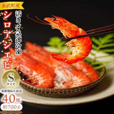 【養殖場から直送】活き〆急速冷凍 金武町産 シロアシエビ　Sサイズ (バナメイエビ)