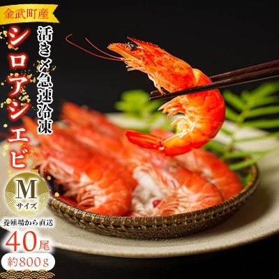 【養殖場から直送】活き〆急速冷凍 金武町産 シロアシエビ Mサイズ (バナメイエビ)