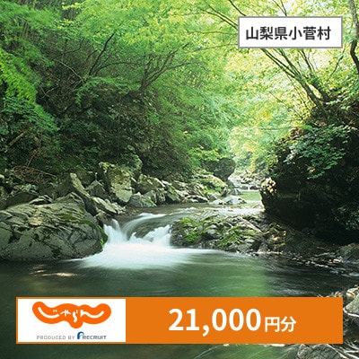 【じゃらんふるさと納税クーポン】 山梨県小菅村でつかえる21,000円 クーポン
