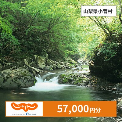 【じゃらんふるさと納税クーポン】 山梨県小菅村でつかえる57,000円 クーポン