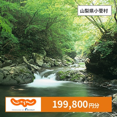 【じゃらんふるさと納税クーポン】 山梨県小菅村でつかえる199,800円 クーポン