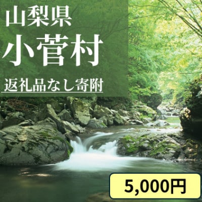 【返礼品なし】山梨県小菅村への応援寄付金(1口 5,000円) | ふるさと納税のお礼品