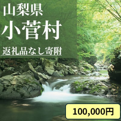 【返礼品なし】山梨県小菅村への応援寄付金(1口 100,000円)