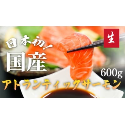 【毎週金曜発送】日本初!今話題の国産アトランティックサーモン【生】600g