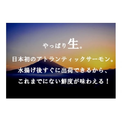 【毎週金曜発送】日本初!今話題の国産アトランティックサーモン【生】600g