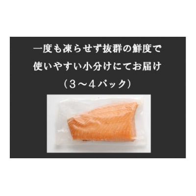 【毎週金曜発送】日本初!今話題の国産アトランティックサーモン【生】600g