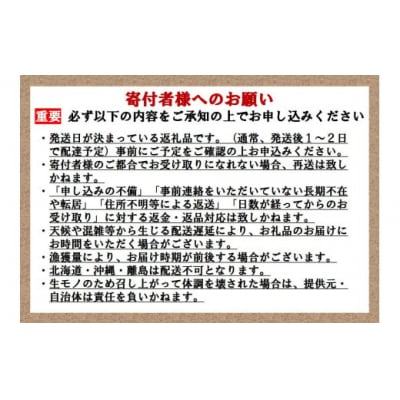 【毎週金曜発送】日本初!今話題の国産アトランティックサーモン【生】600g