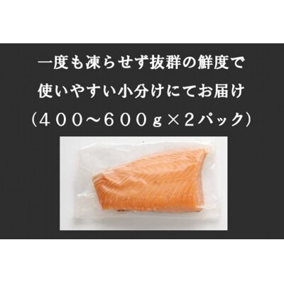 【毎週金曜発送】日本初!今話題の国産アトランティックサーモン【生】800～1,100g