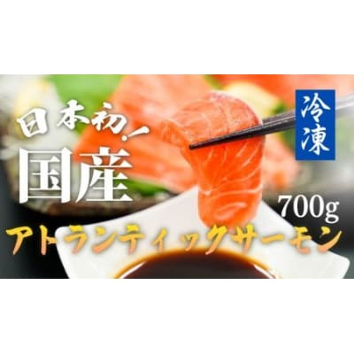 【寄附翌月第4金曜発送】日本初!今話題の国産アトランティックサーモン【冷凍】700g