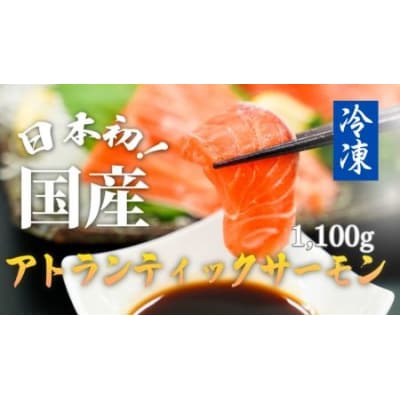【寄附翌月第4金曜発送】日本初!今話題の国産アトランティックサーモン【冷凍】1,100g