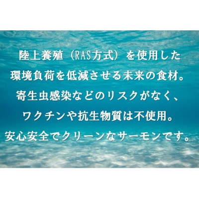 【寄附翌月第4金曜発送】日本初!今話題の国産アトランティックサーモン【冷凍】1,100g