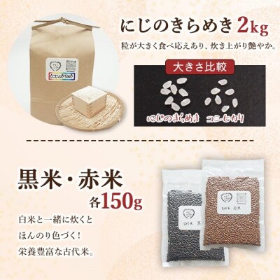 <古代米も入った!やまこのうえんのお米食べ比べセット> お米 コメ ご飯 ライス 穀物 こしひかり