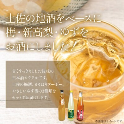 高知特産 果実の香り酒500ml×3種セット gs-0106